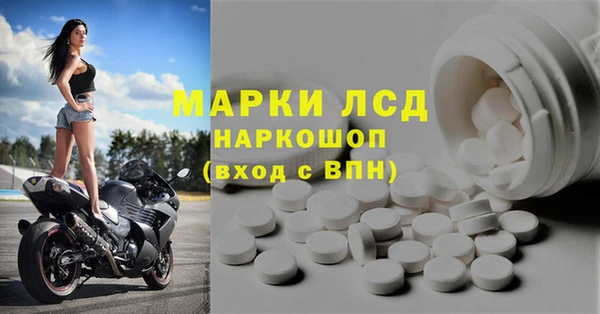 трава Белокуриха