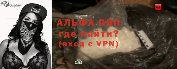 трава Белокуриха