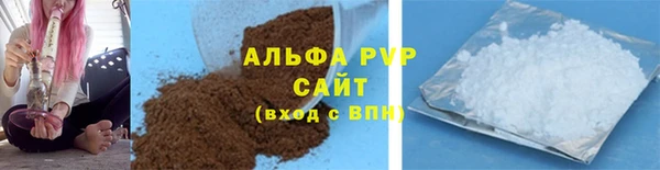 трава Белокуриха