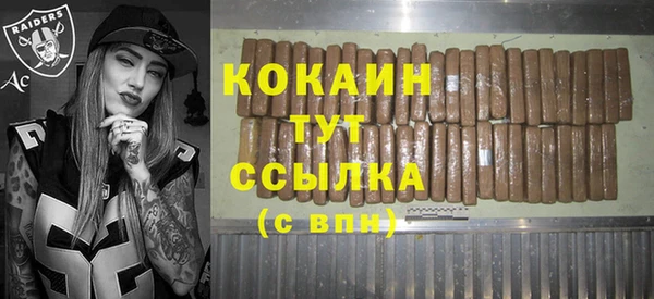 трава Белокуриха