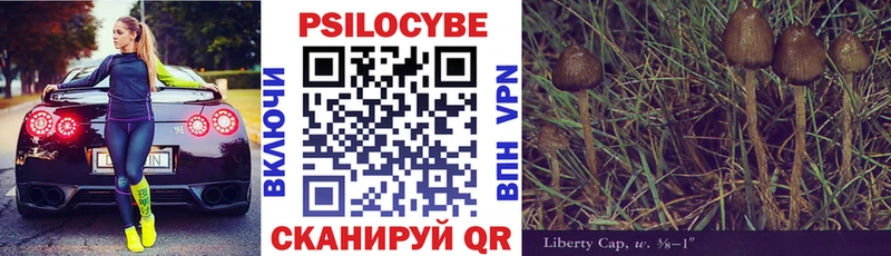 Галлюциногенные грибы GOLDEN TEACHER  даркнет сайт  Купино 